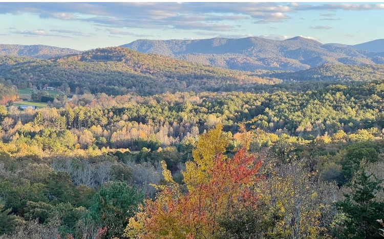 41 Cohutta Overlook Drive Blue Ridge, GA 30513 - Photo 58 of 61 Additional View