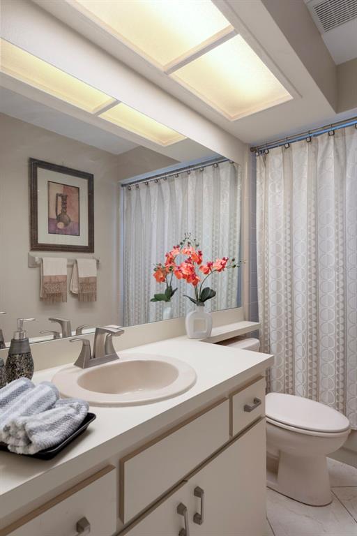 6421 Pine Meadows Drive Spring Hill, FL 34606 - Photo 28 of 61 a bathroom with a sink a toilet and a mirror