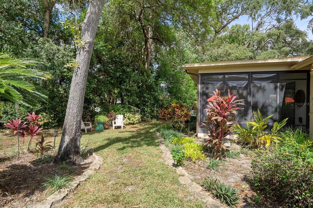 6421 Pine Meadows Drive Spring Hill, FL 34606 - Photo 34 of 61 a view of a pathway of a house with a tree