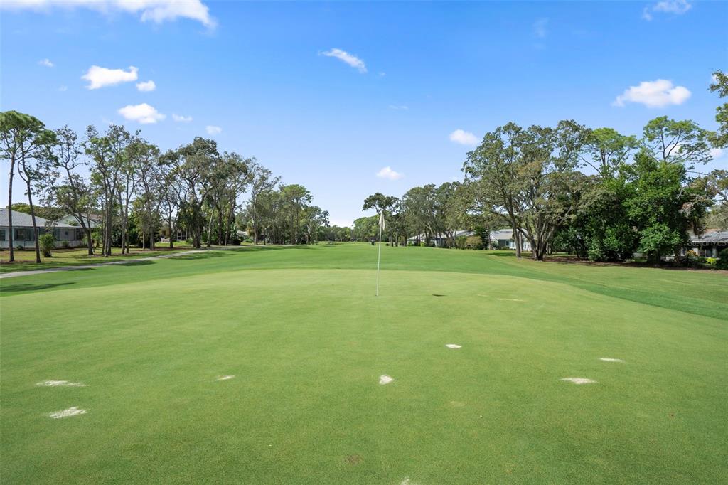 6421 Pine Meadows Drive Spring Hill, FL 34606 - Photo 36 of 61 a view of a field with trees in the background