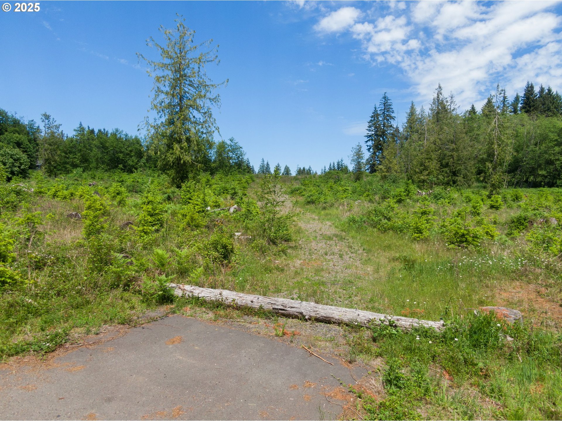 Meissner Road Deer Island, OR 97054 - Photo 2 of 4 a yard with a house in the background