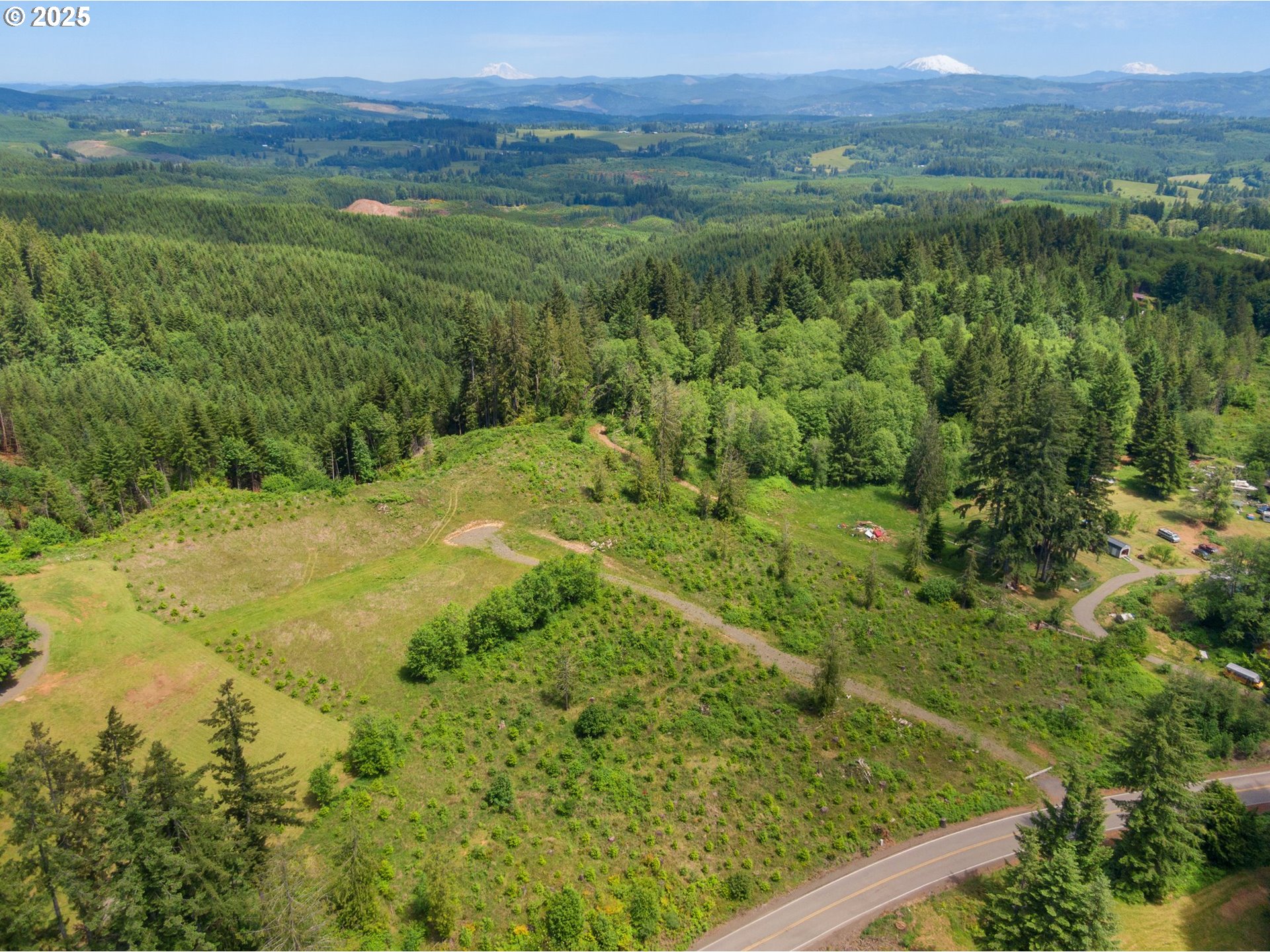 Meissner Road Deer Island, OR 97054 - Photo 3 of 4 a view of a lush green forest with trees and some houses