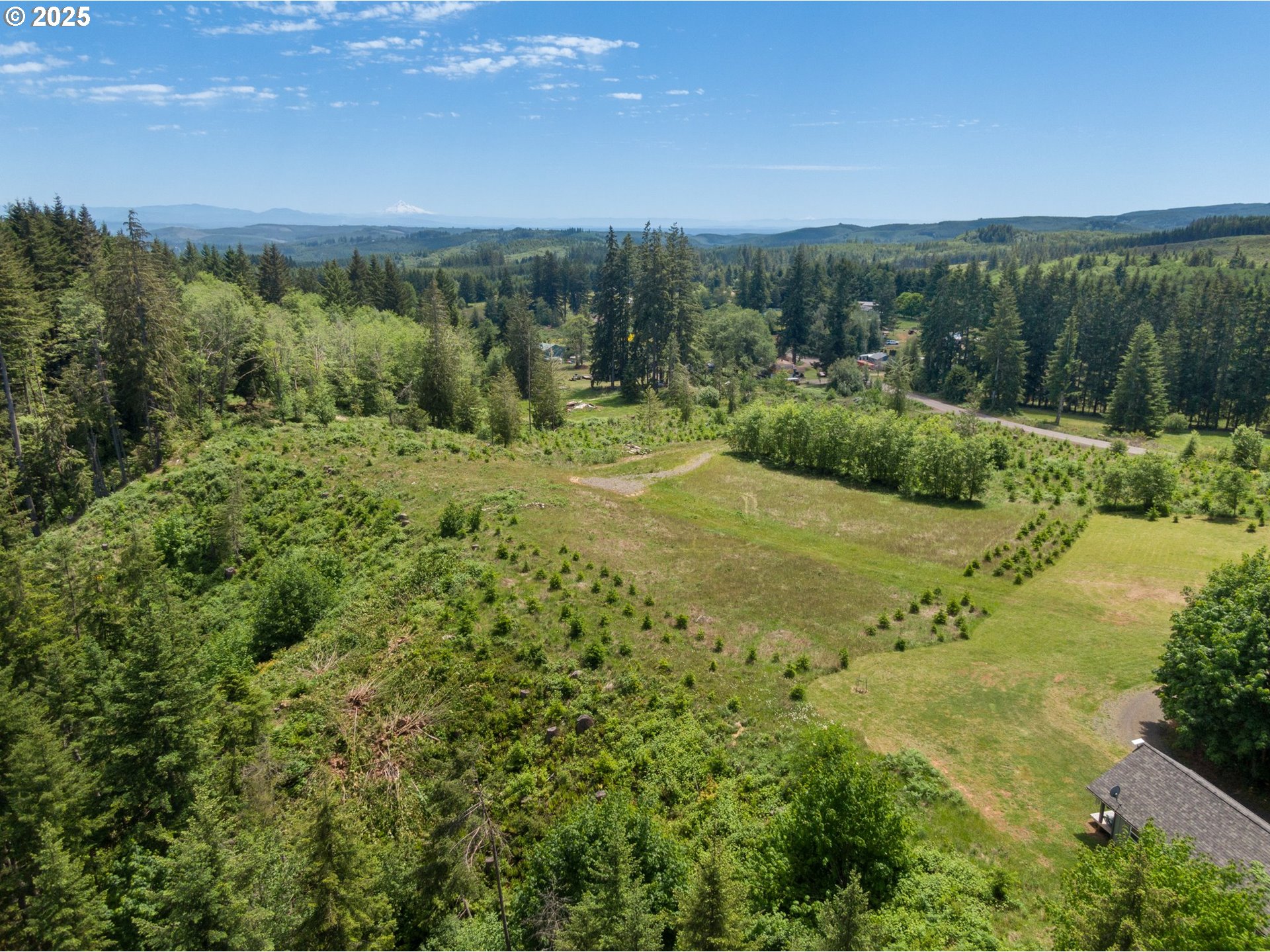 Meissner Road Deer Island, OR 97054 - Photo 4 of 4 a view of an outdoor space with a lake view