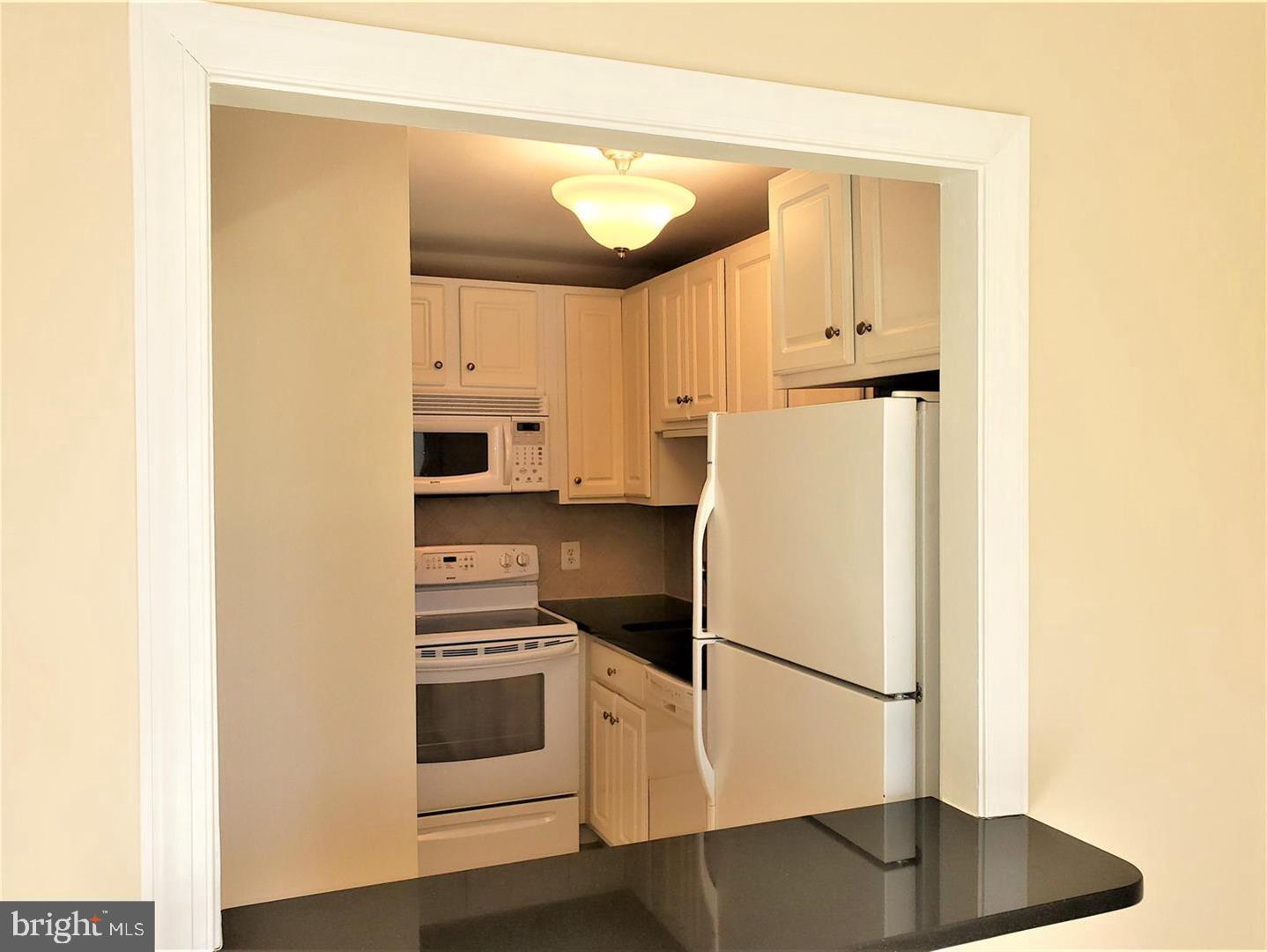 6800 Fleetwood Road, Unit 708 McLean, VA 22101 - Photo 4 of 35 Charming kitchen with modern amenities.