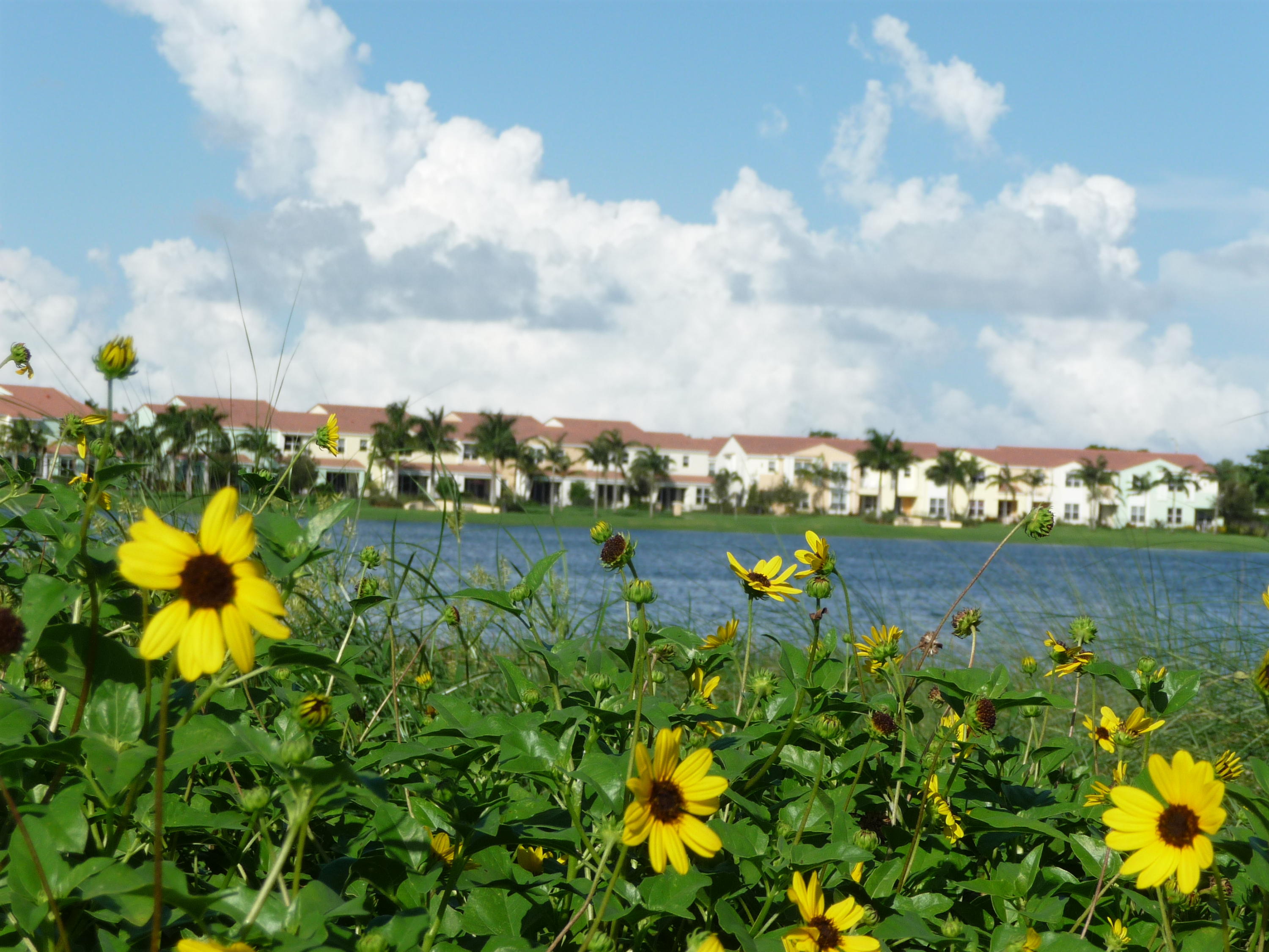 1472 Northwest 48th Lane Boca Raton, FL 33431 - Photo 44 of 47 P1060177