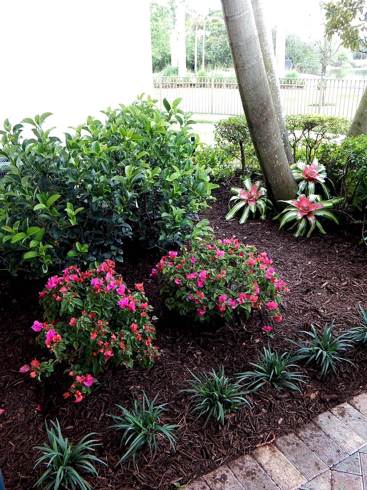 1472 Northwest 48th Lane Boca Raton, FL 33431 - Photo 7 of 47 1472 back garden