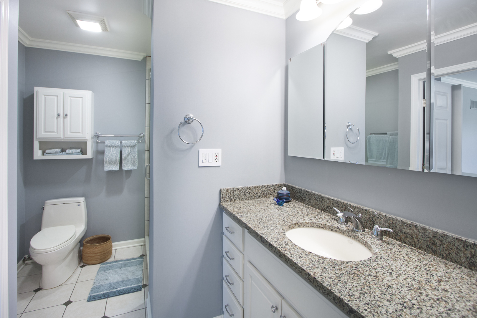 259 Timber Ridge Lane Lake Barrington, IL 60010 - Photo 16 of 46