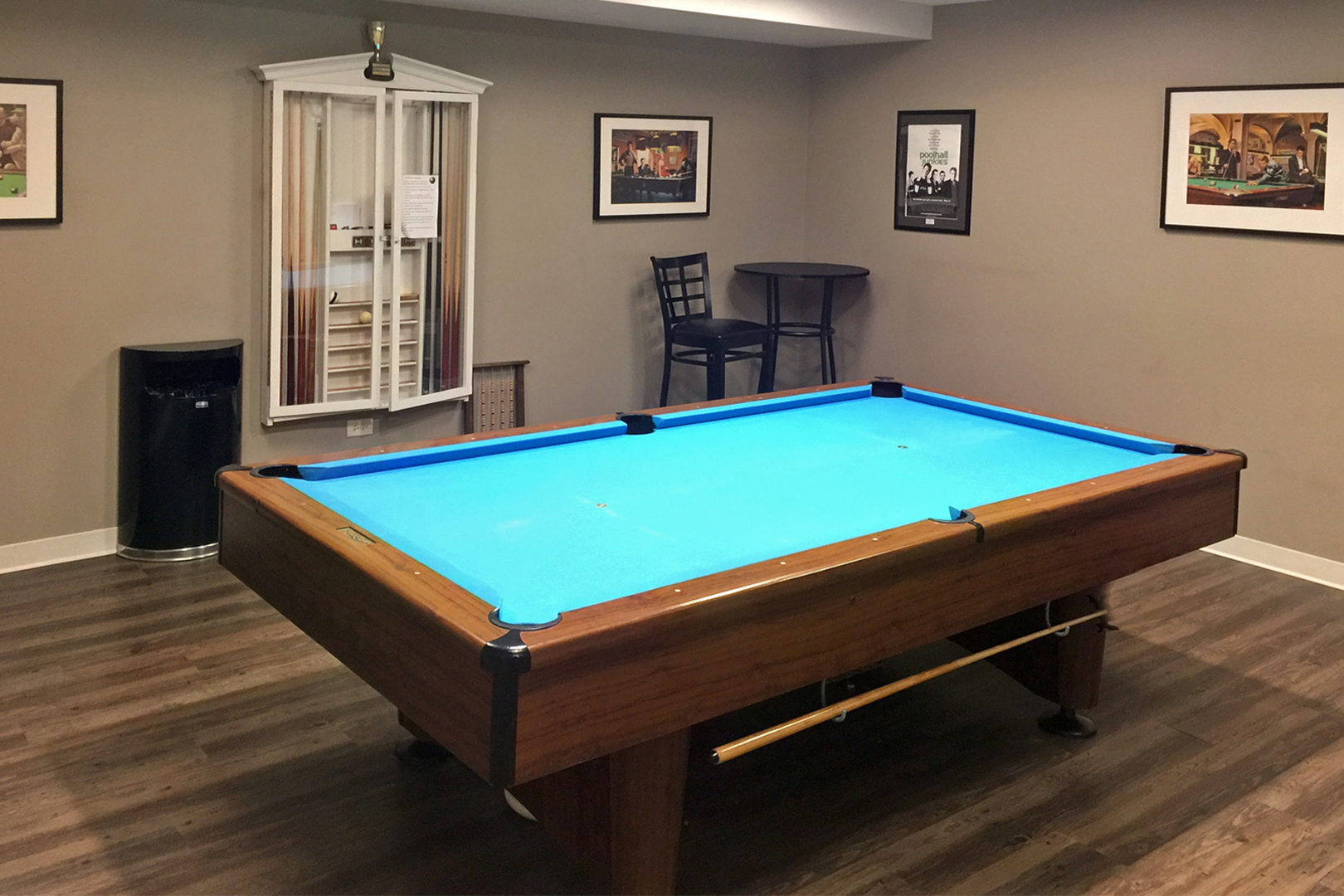 259 Timber Ridge Lane Lake Barrington, IL 60010 - Photo 33 of 46