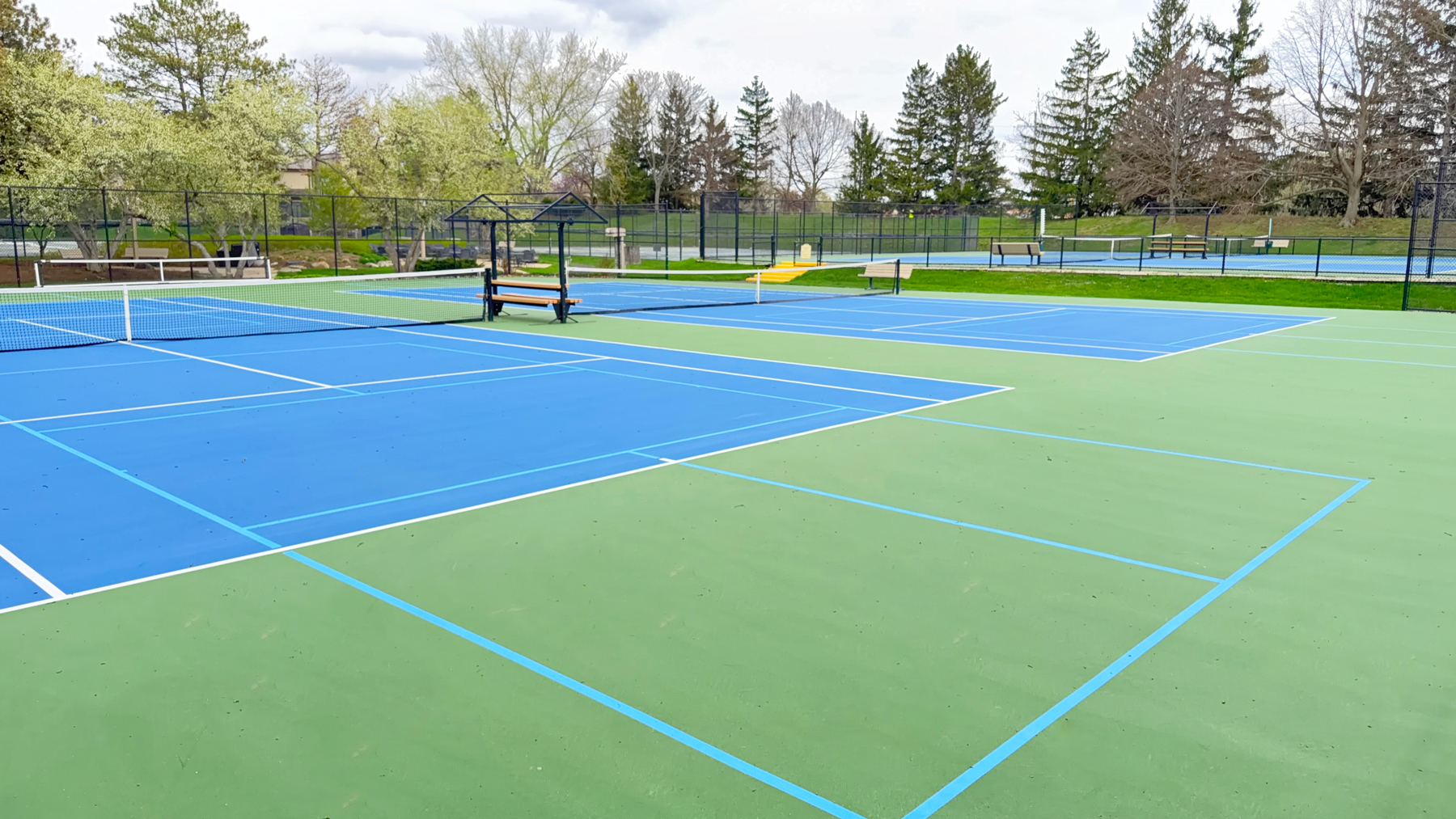 259 Timber Ridge Lane Lake Barrington, IL 60010 - Photo 36 of 46