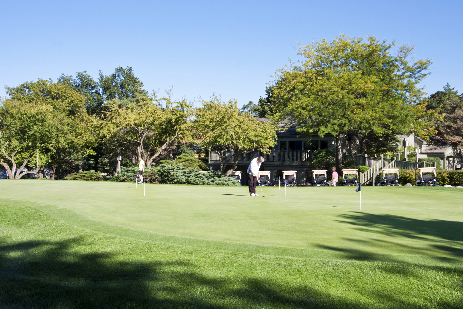 259 Timber Ridge Lane Lake Barrington, IL 60010 - Photo 45 of 46