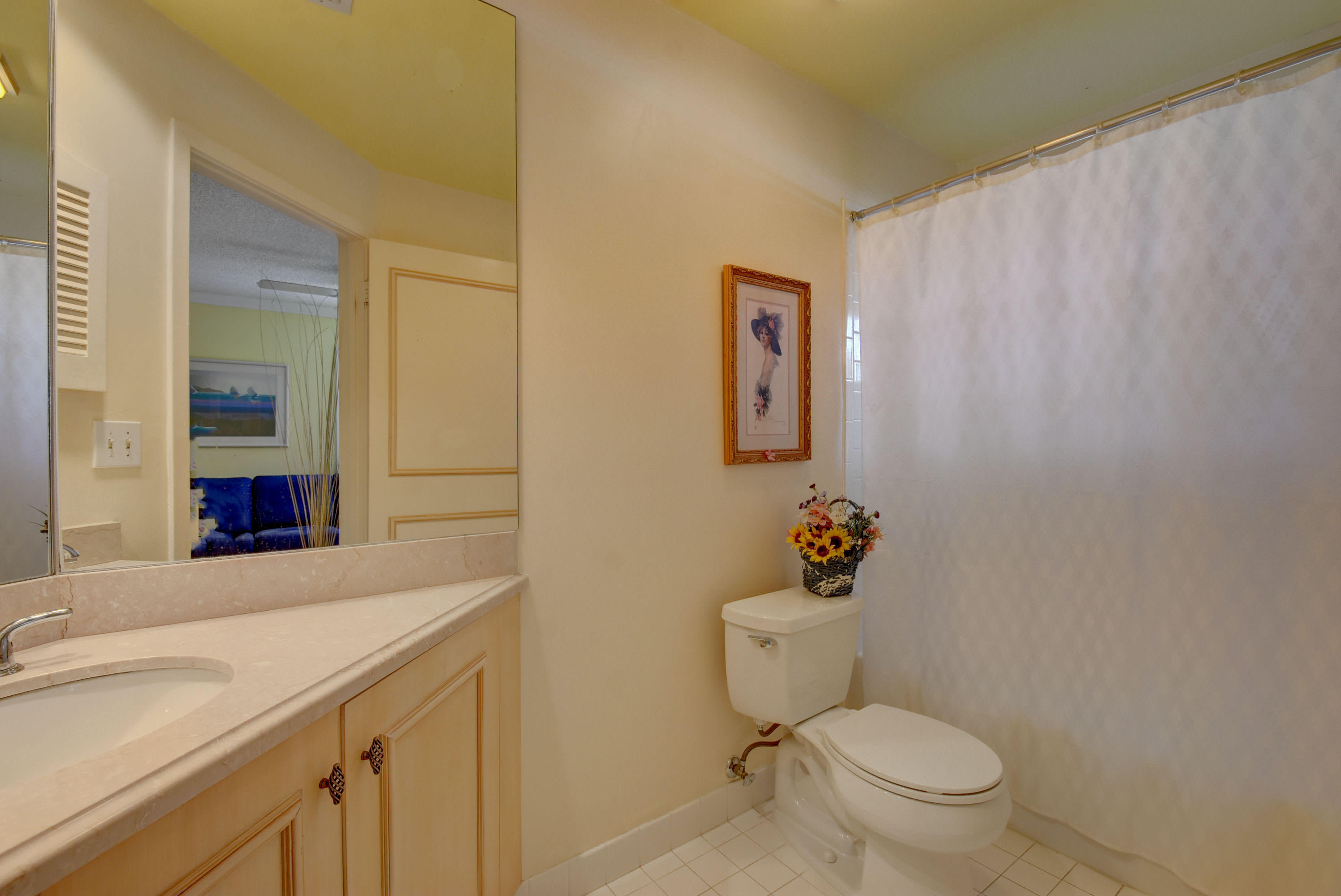 2254 Northwest 52nd Street Boca Raton, FL 33496 - Photo 19 of 28 a bathroom with a sink a toilet a mirror and shower curtain