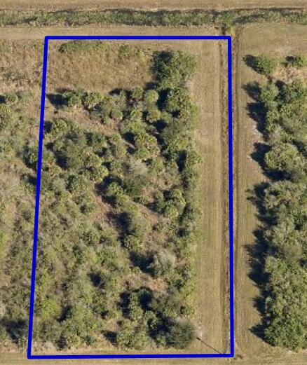 342 Trotters Street Palm Bay, FL 32909 - Photo 3 of 7 a view of a area with a tree and red fence