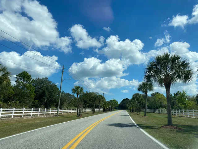 a view of a fountain in front of a house with large trees