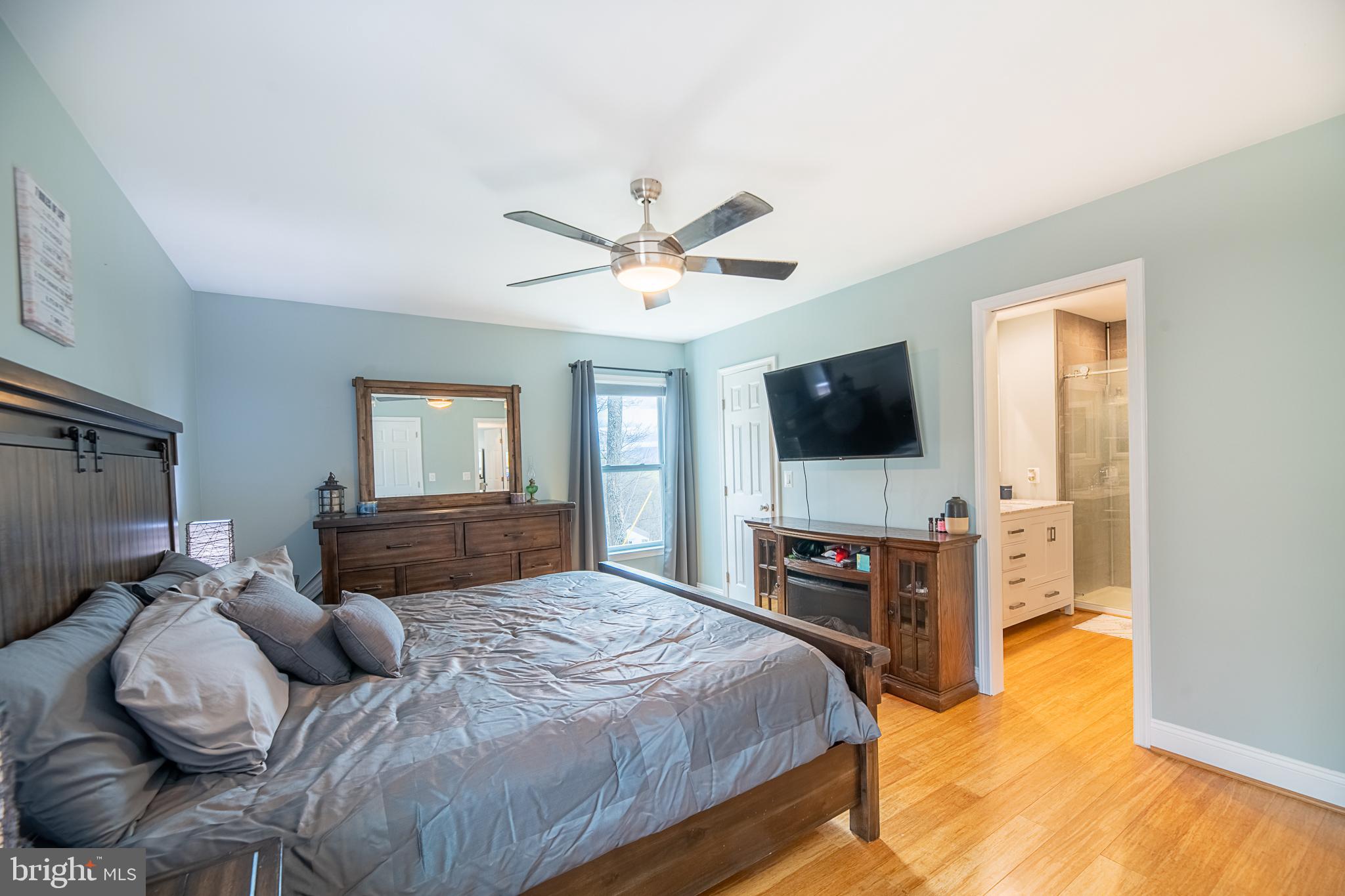 500 Delicious Road Linden, VA 22642 - Photo 26 of 91 Primary Bedroom with more views