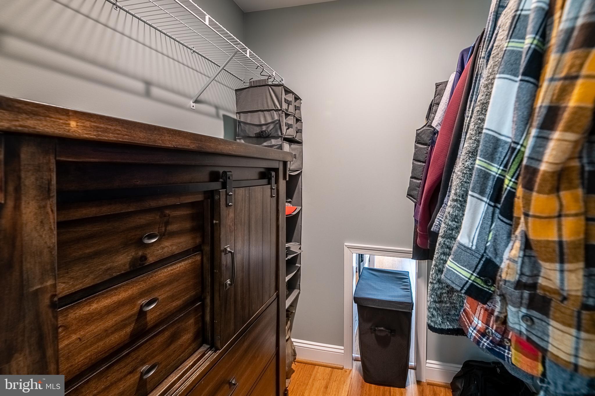500 Delicious Road Linden, VA 22642 - Photo 29 of 91 Primary Closet with the perfect access to Laundry