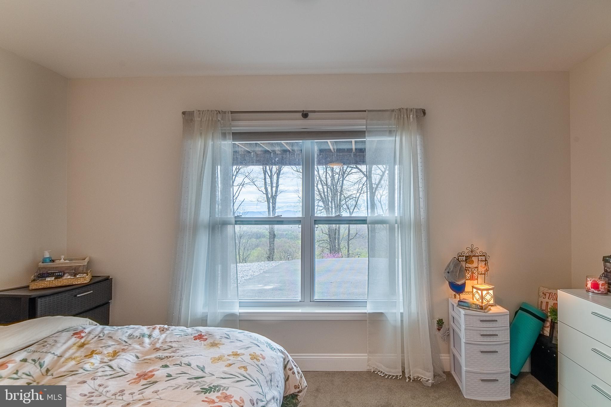 500 Delicious Road Linden, VA 22642 - Photo 39 of 91 3rd Bedroom has the views too!
