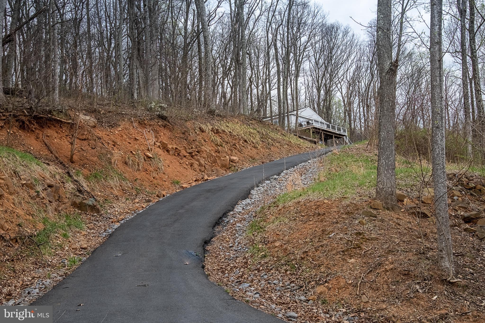 500 Delicious Road Linden, VA 22642 - Photo 55 of 91 Driveway that takes you to all the views!