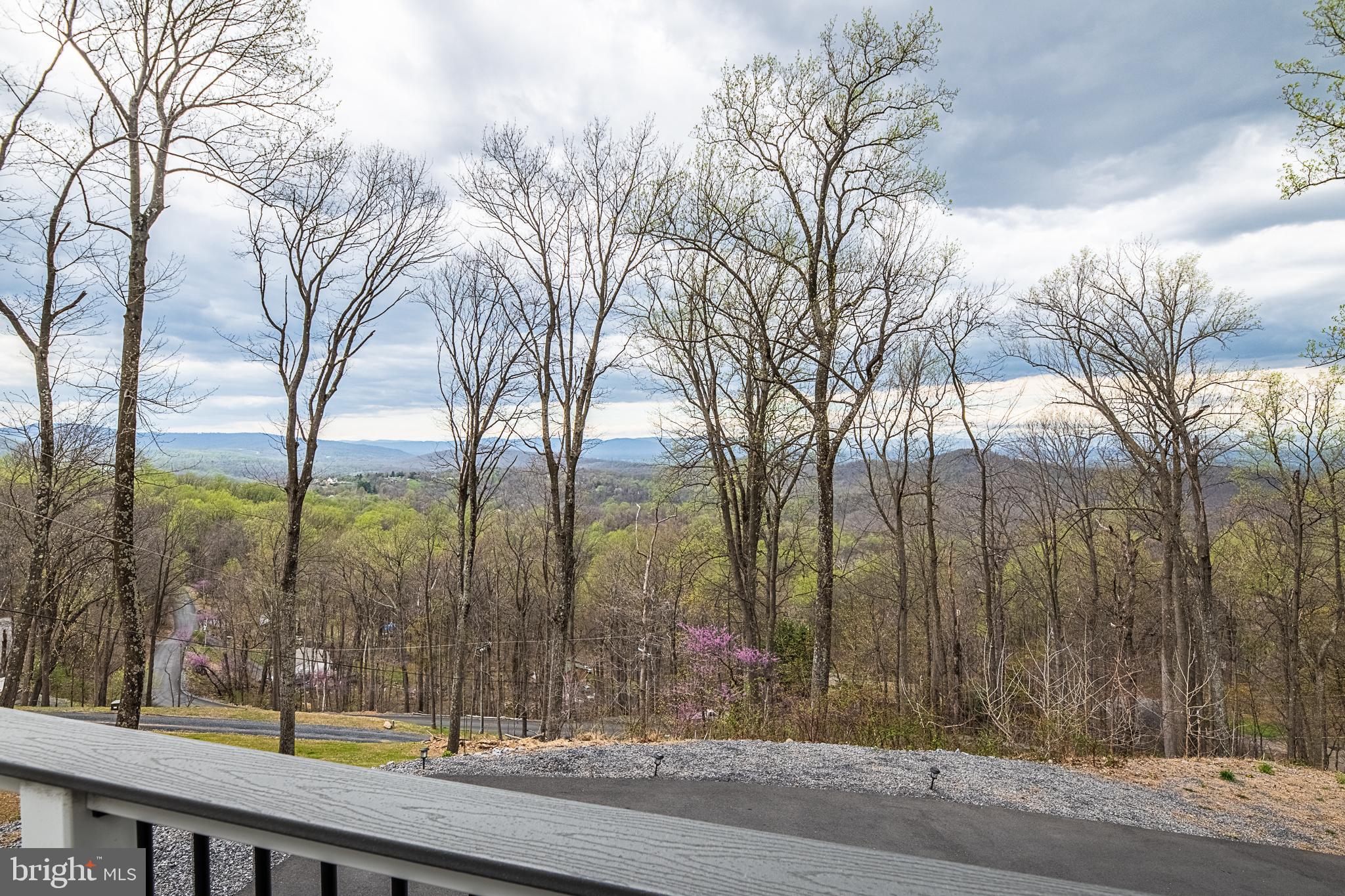 500 Delicious Road Linden, VA 22642 - Photo 58 of 91 Deck