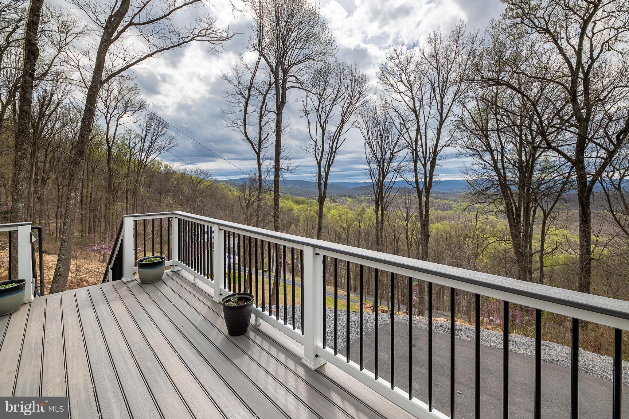 500 Delicious Road Linden, VA 22642 - Photo 59 of 91 Deck