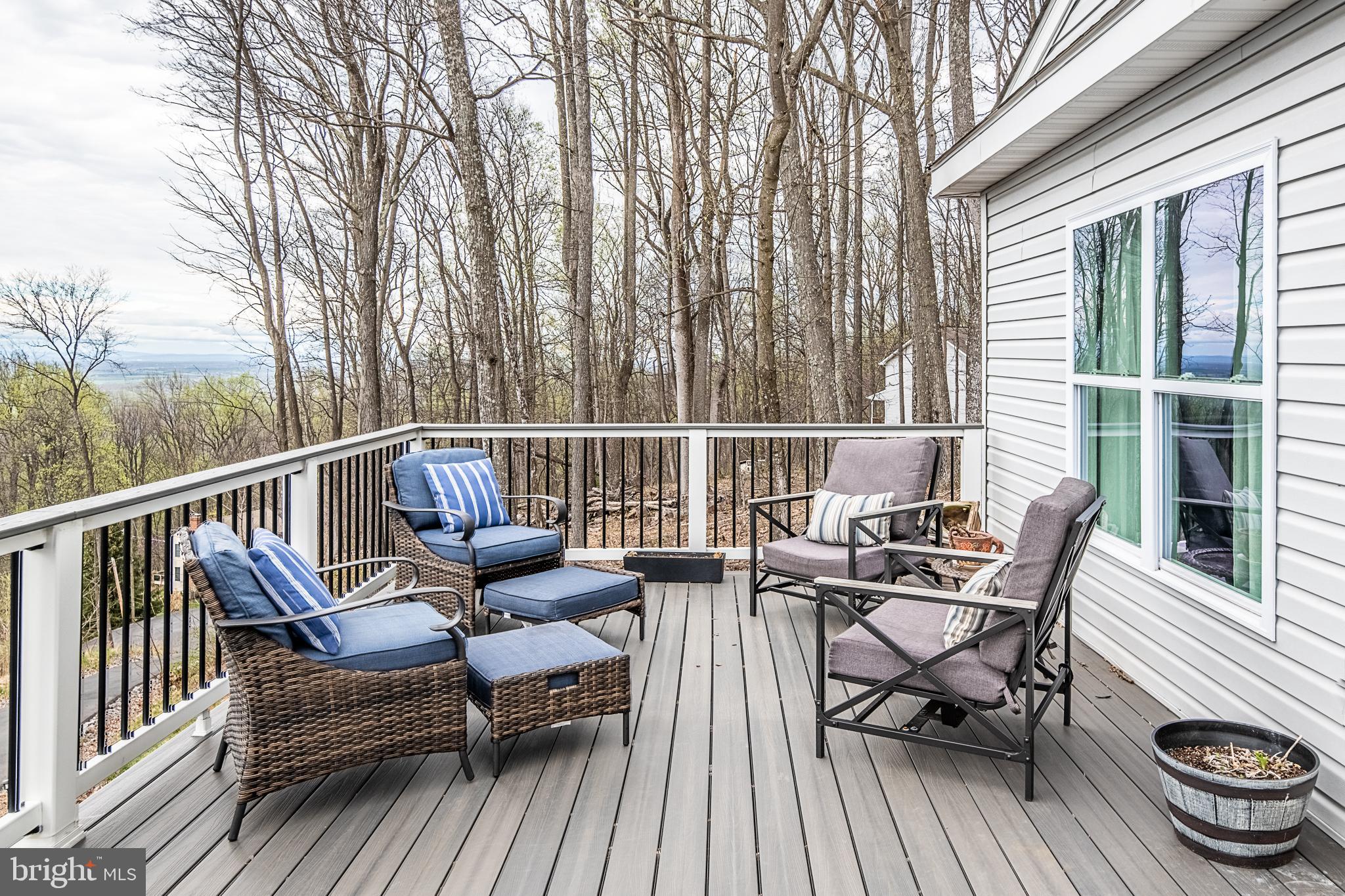 500 Delicious Road Linden, VA 22642 - Photo 61 of 91 Deck