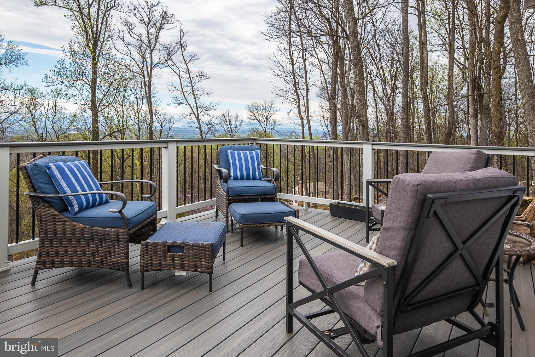 500 Delicious Road Linden, VA 22642 - Photo 62 of 91 Deck