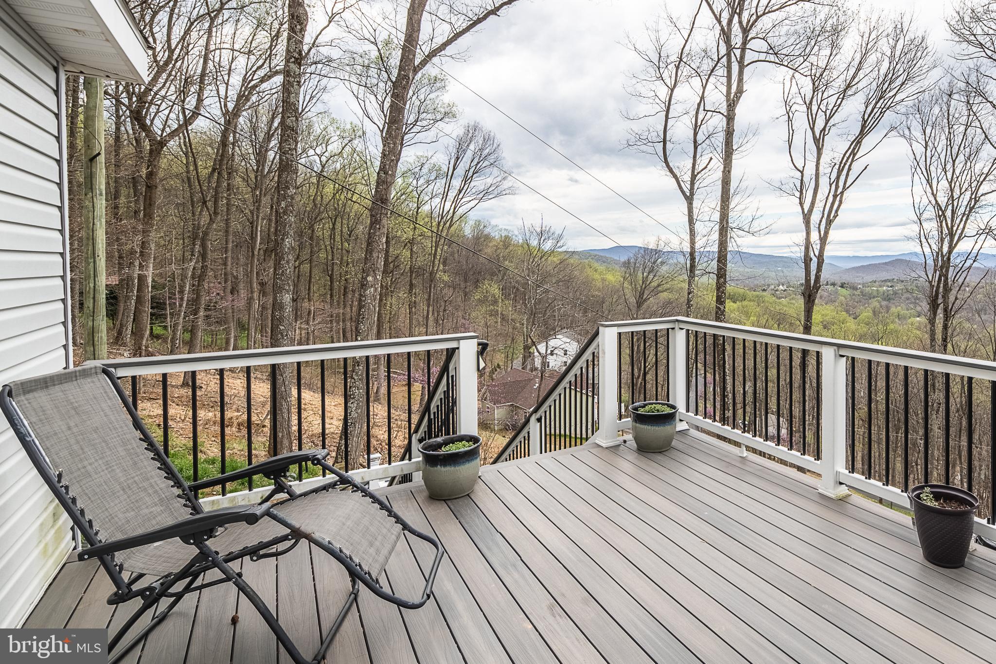 500 Delicious Road Linden, VA 22642 - Photo 63 of 91 Deck