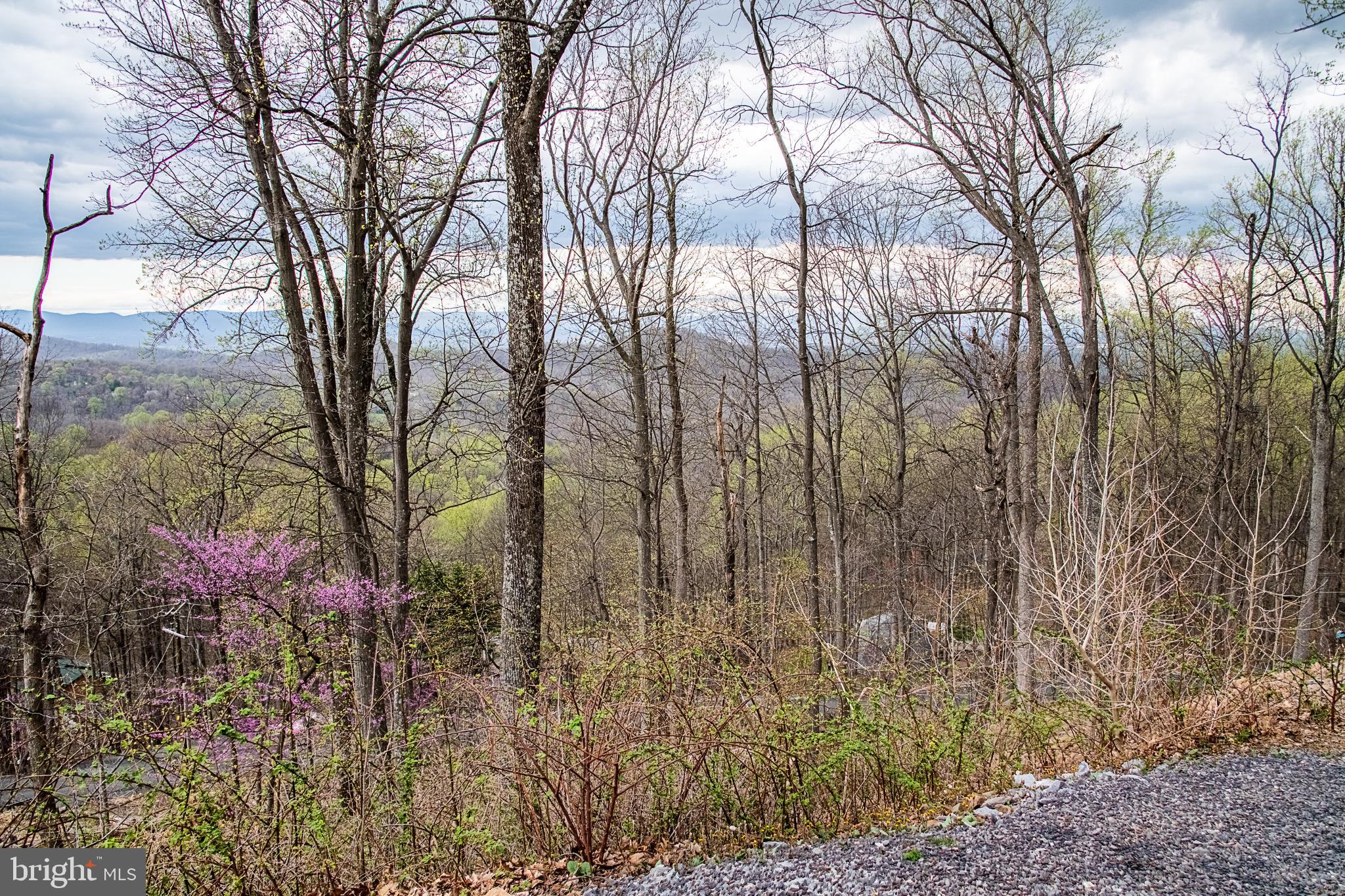 500 Delicious Road Linden, VA 22642 - Photo 71 of 91 Views