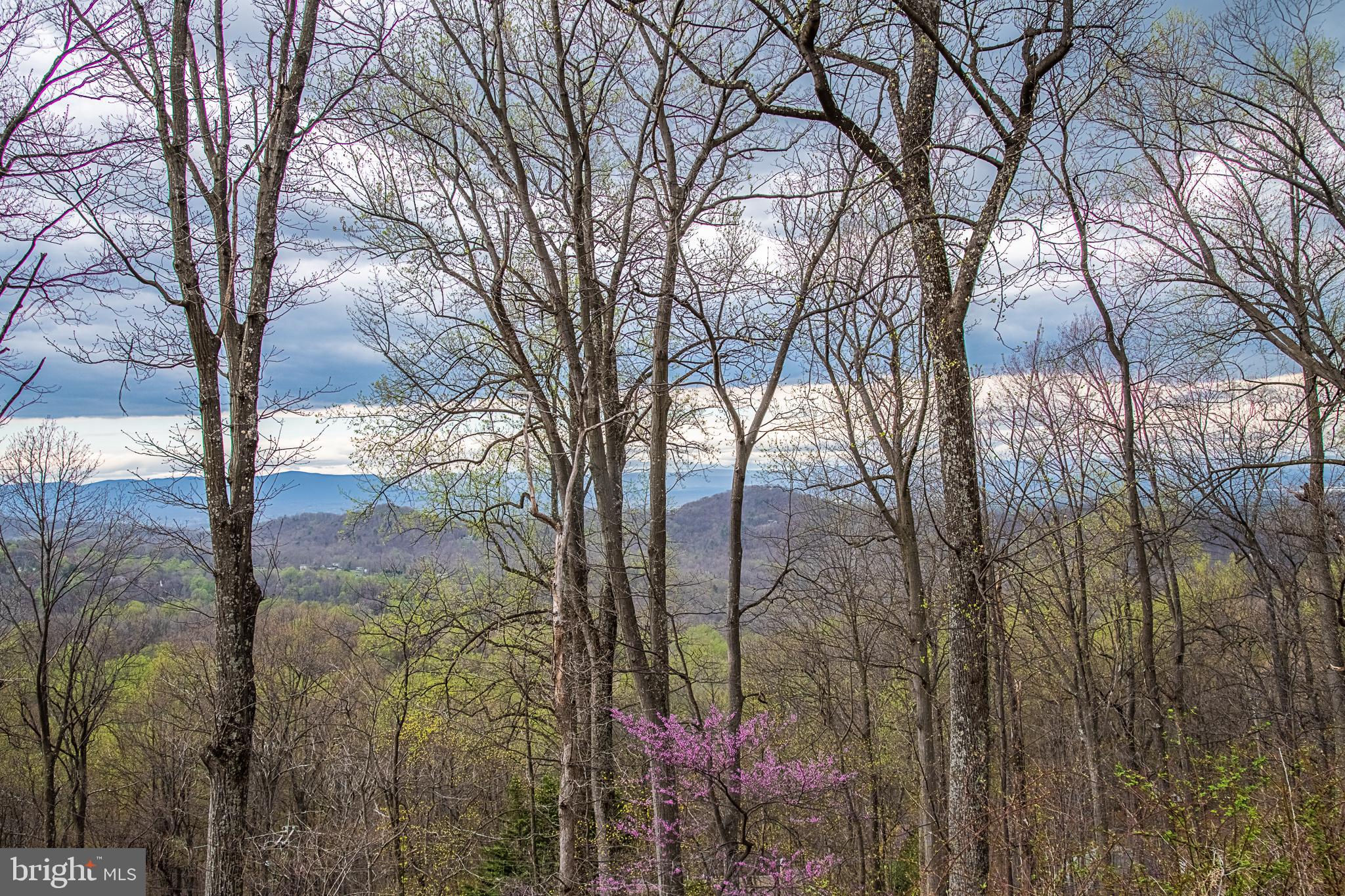 500 Delicious Road Linden, VA 22642 - Photo 72 of 91 Views