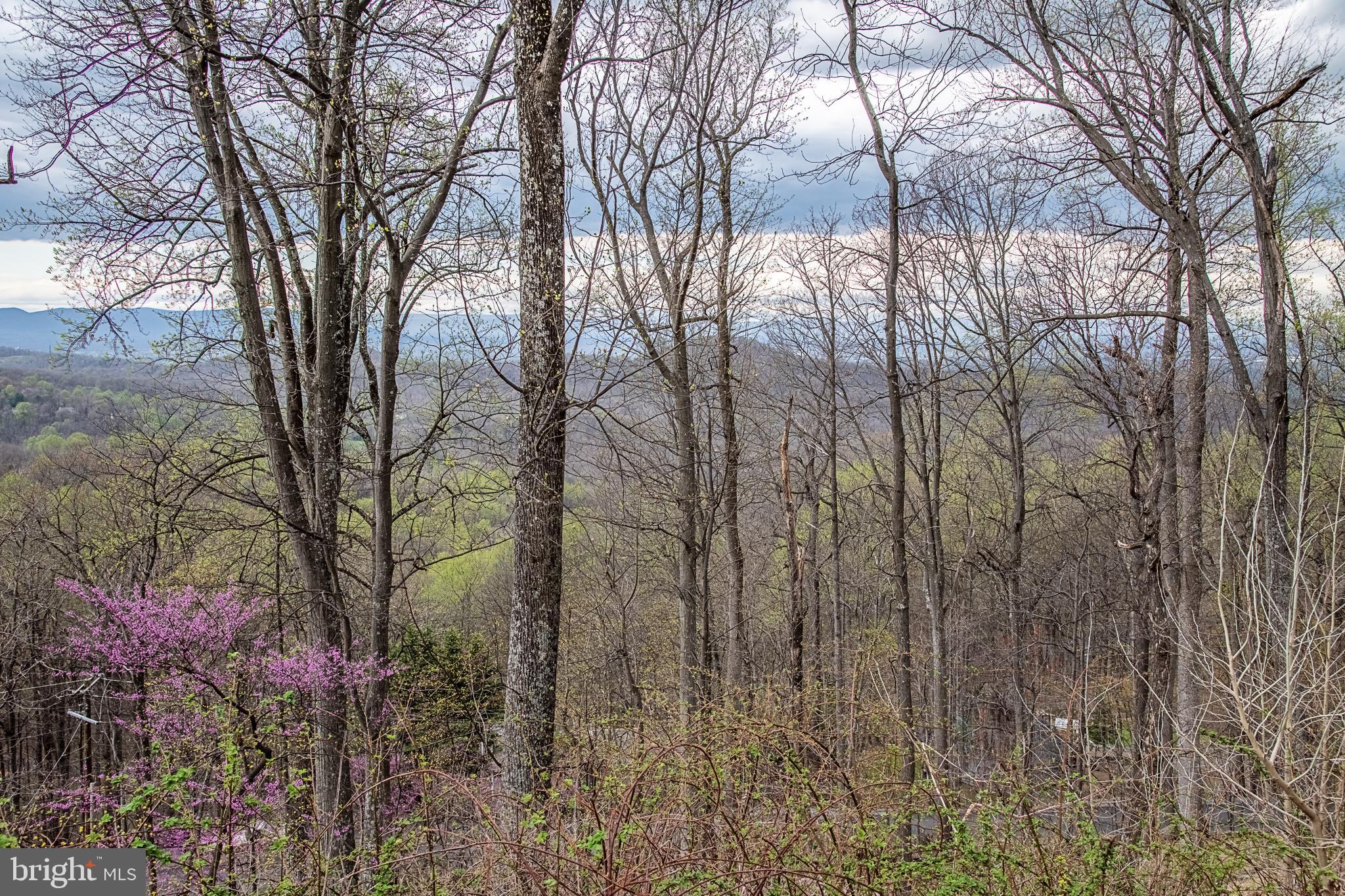 500 Delicious Road Linden, VA 22642 - Photo 74 of 91 Views