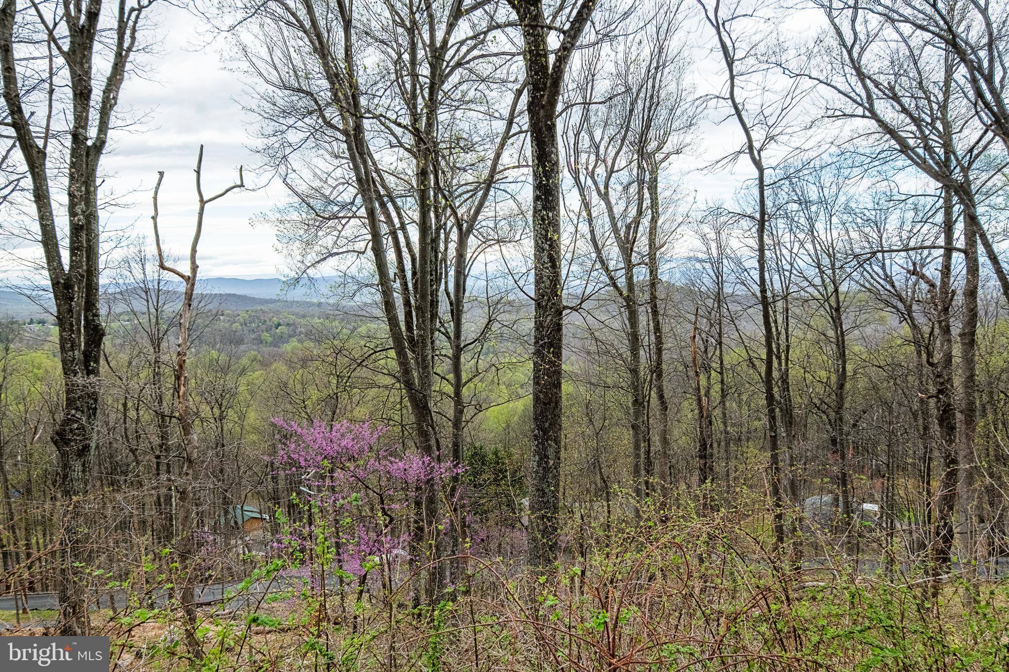 500 Delicious Road Linden, VA 22642 - Photo 75 of 91 Views