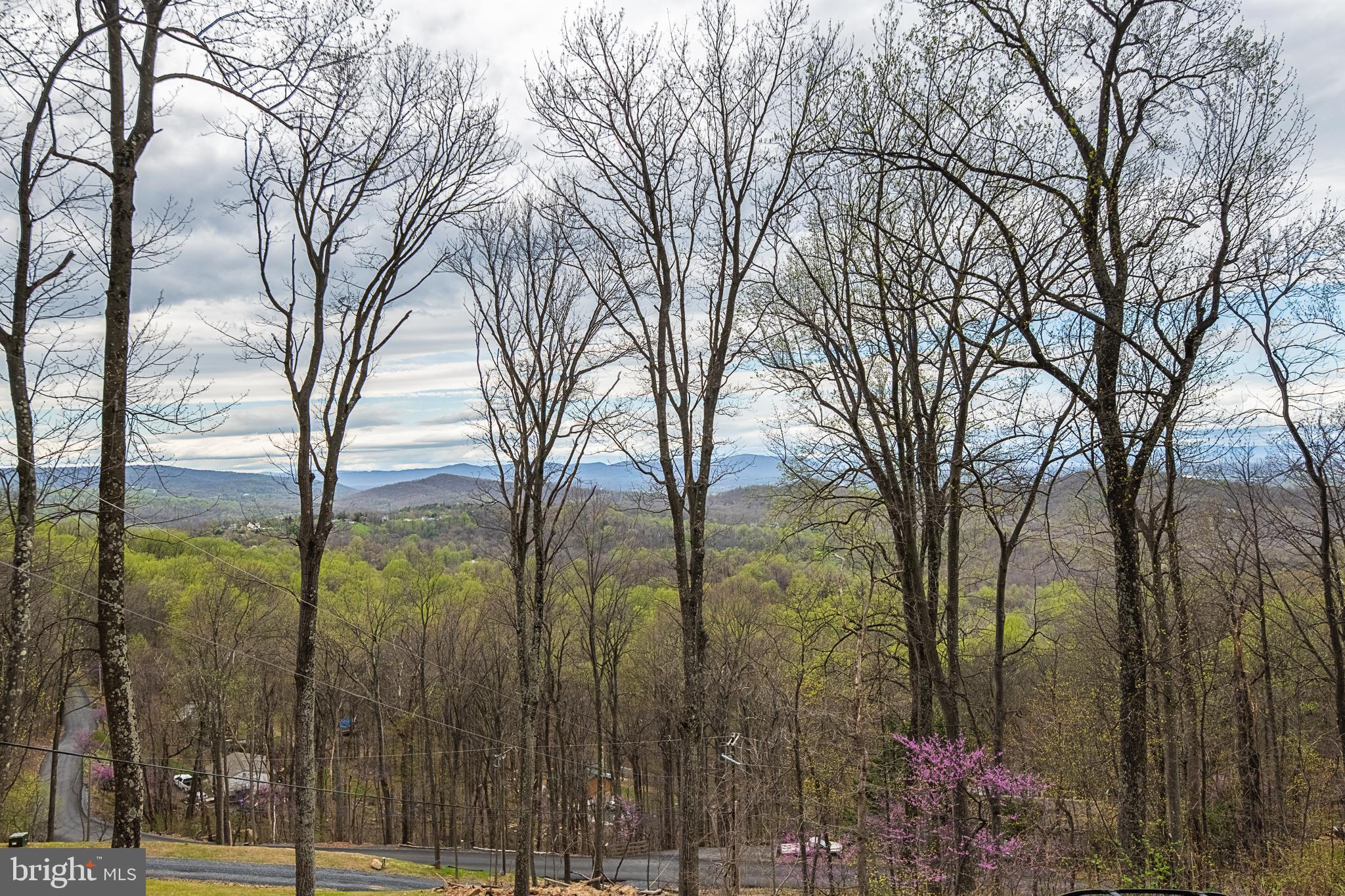 500 Delicious Road Linden, VA 22642 - Photo 76 of 91 Views