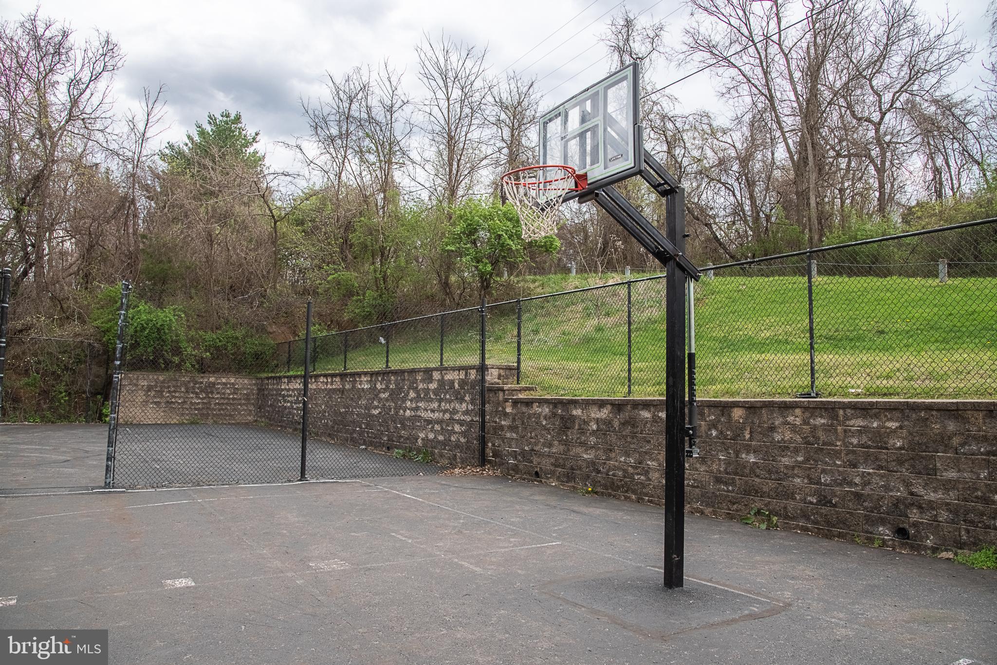 500 Delicious Road Linden, VA 22642 - Photo 82 of 91 Basketball Court