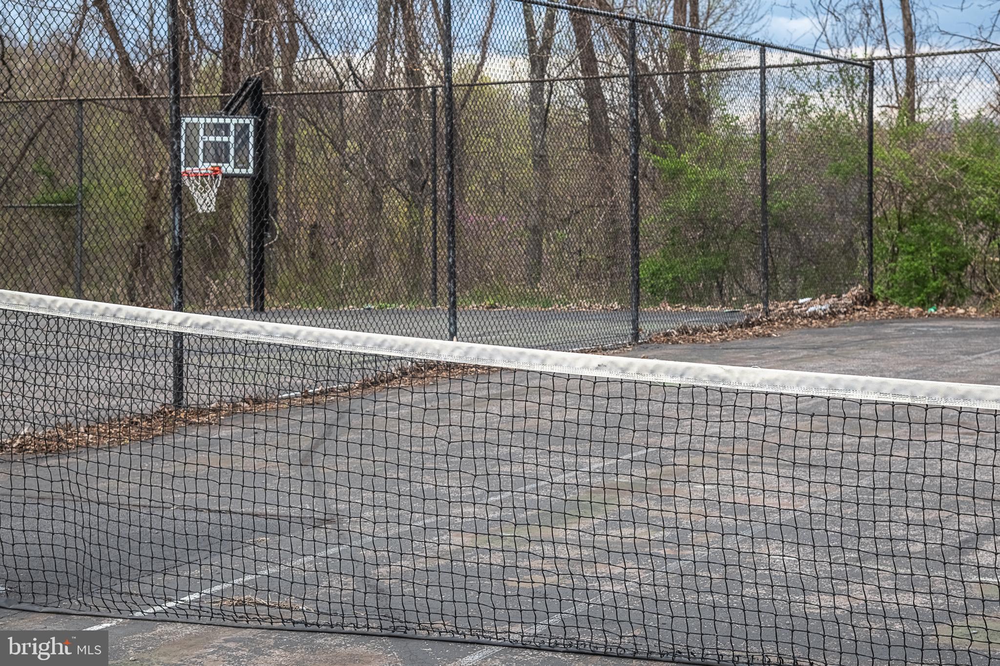 500 Delicious Road Linden, VA 22642 - Photo 83 of 91 Tennis Court