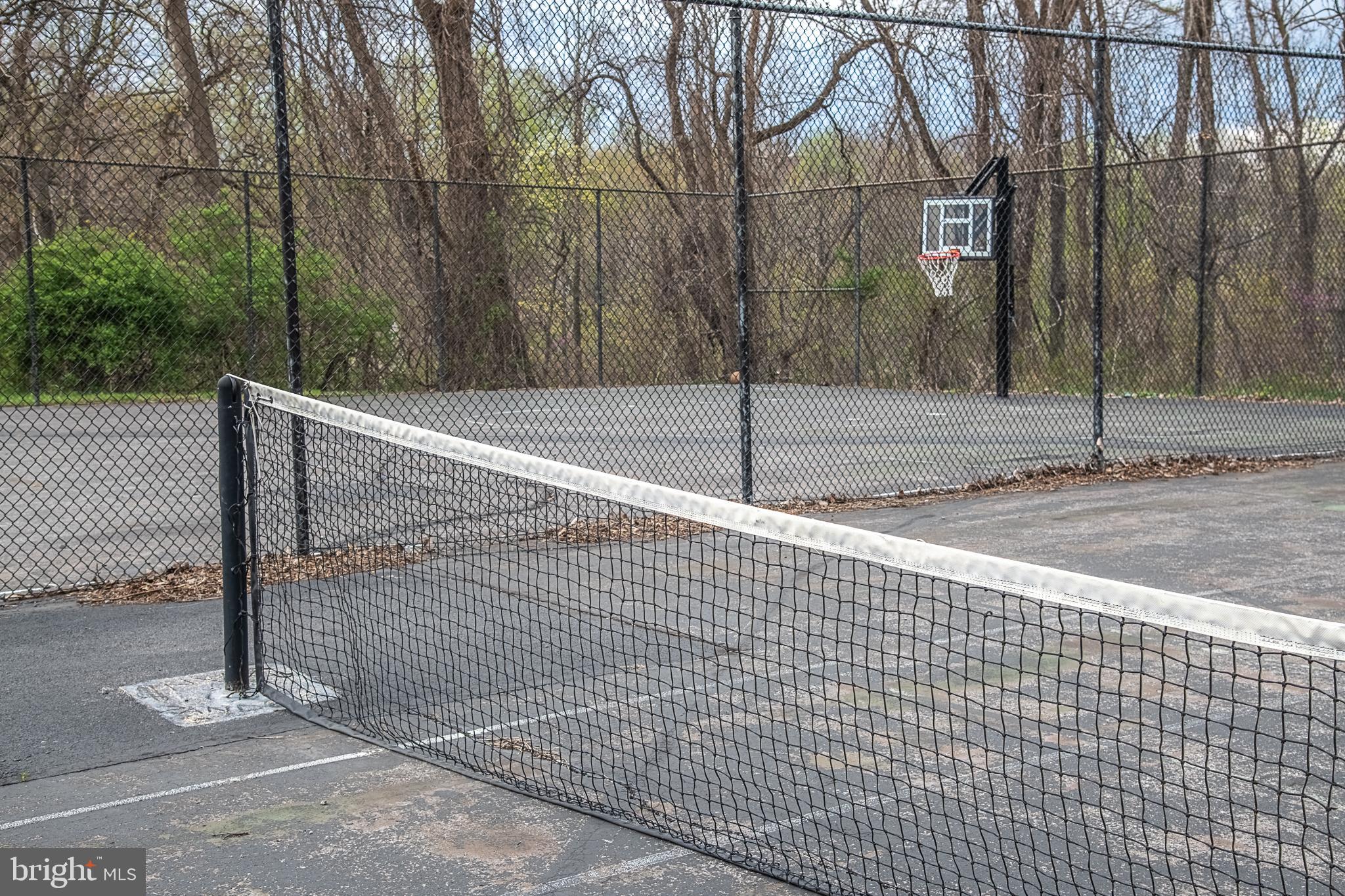 500 Delicious Road Linden, VA 22642 - Photo 84 of 91 Tennis Court