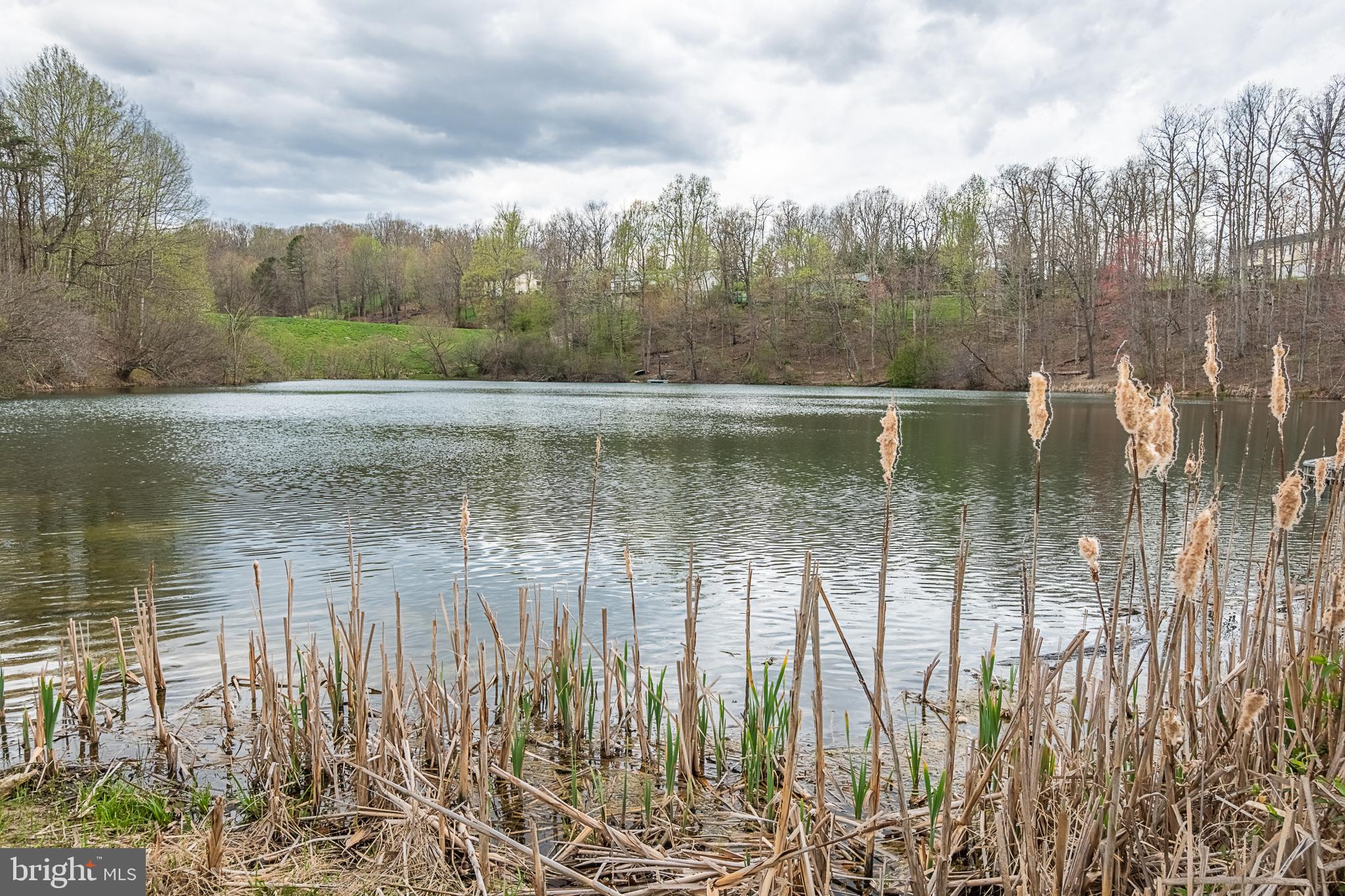 500 Delicious Road Linden, VA 22642 - Photo 88 of 91 Lake