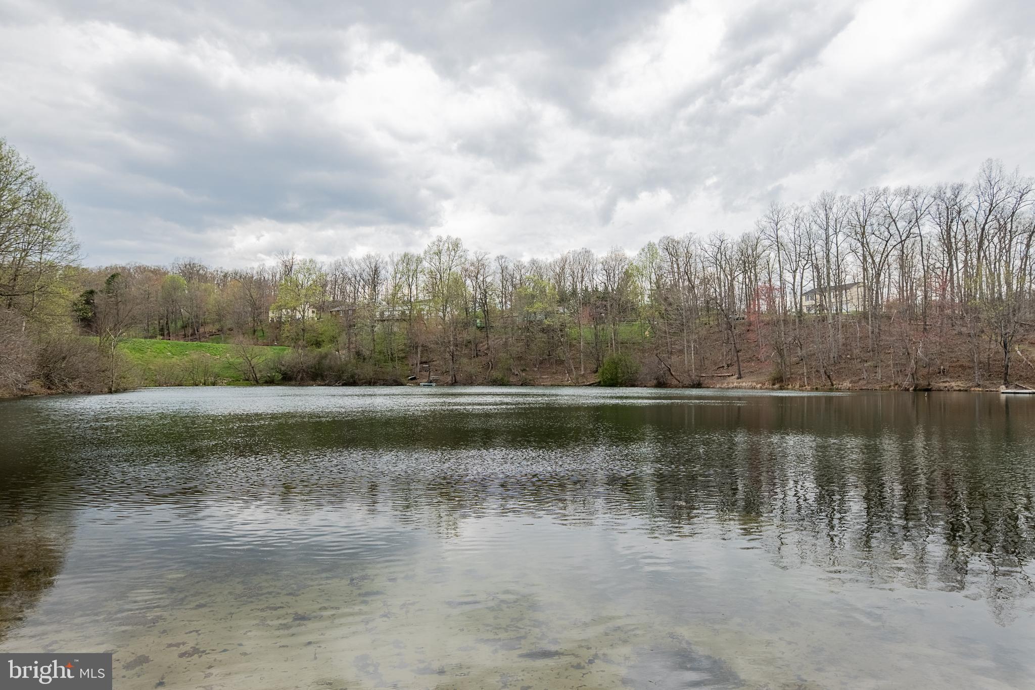 500 Delicious Road Linden, VA 22642 - Photo 89 of 91 Lake
