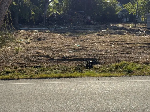 a view of a yard with trees