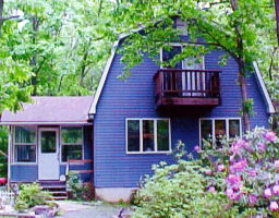 517 Leo Road Bartonsville, PA 18321 - Photo 1 of 1 a view of a house with potted plants and a fountain