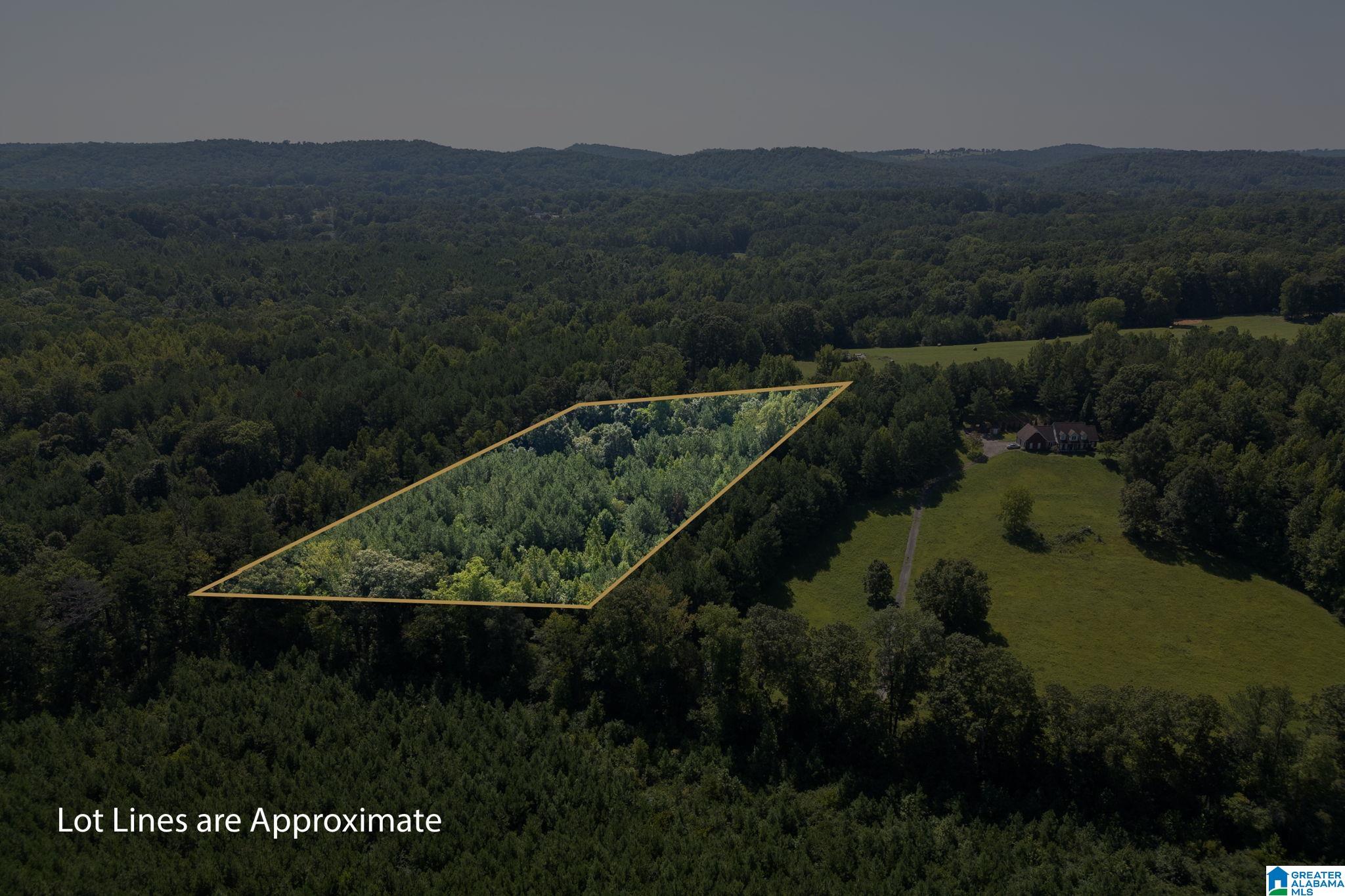 9111 Cedar Mountain Road, Unit 9111 Pinson, AL 35126 - Photo 10 of 24