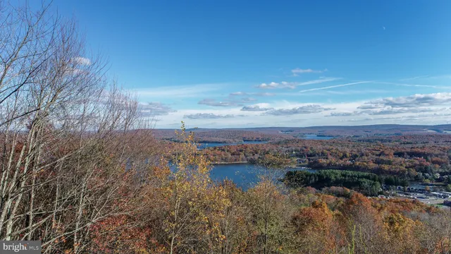 a view of a lake with houses in the back