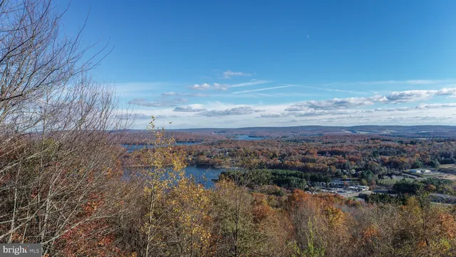 a view of a lake with a city