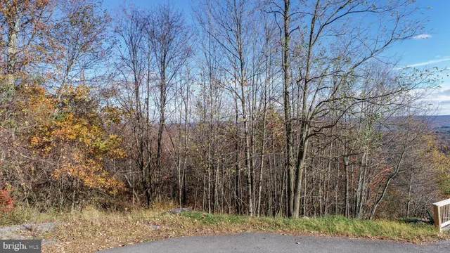 a backyard of a house with lots of trees