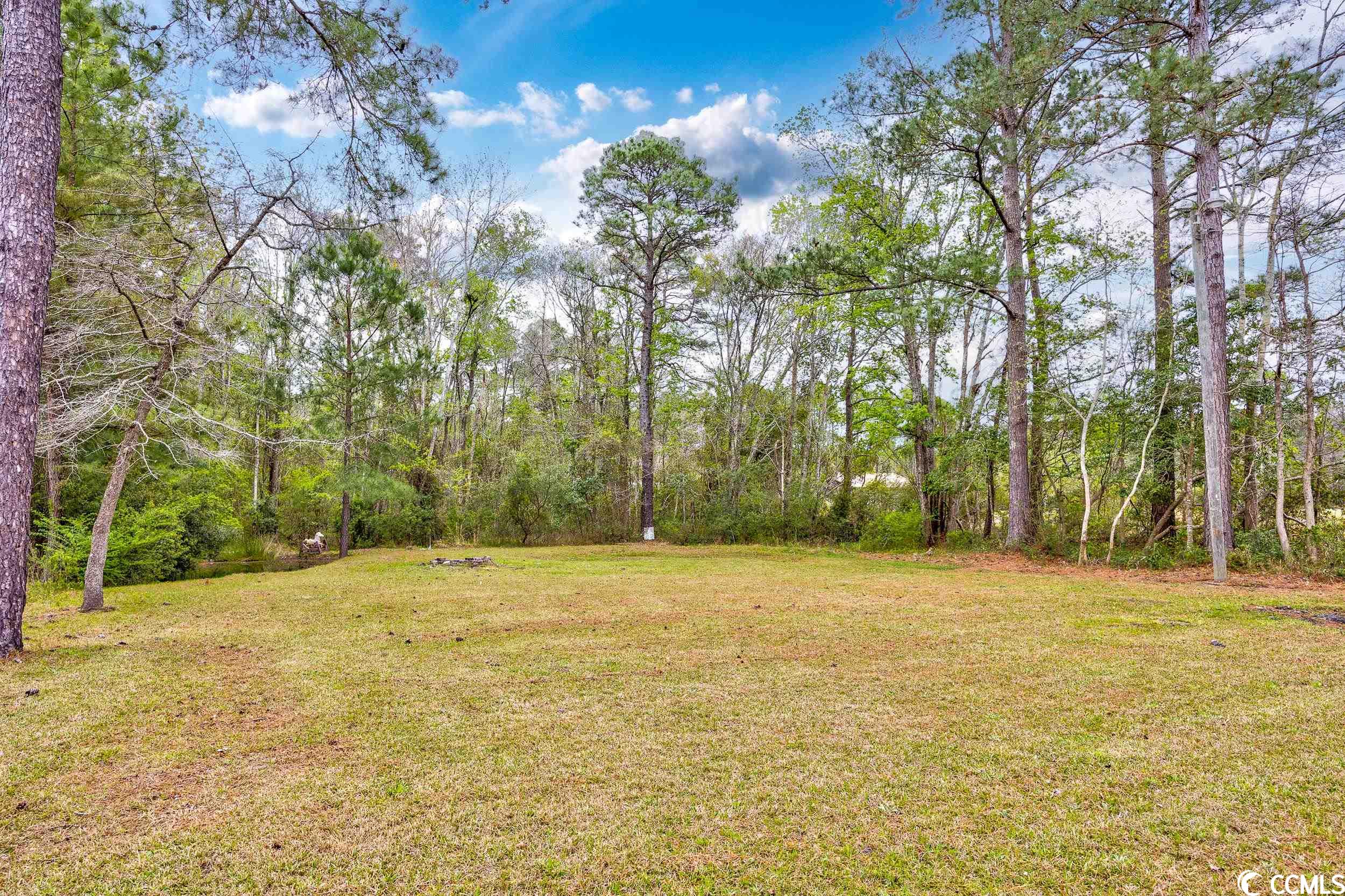 2883 Hugo Road Conway, SC 29527 - Photo 25 of 28