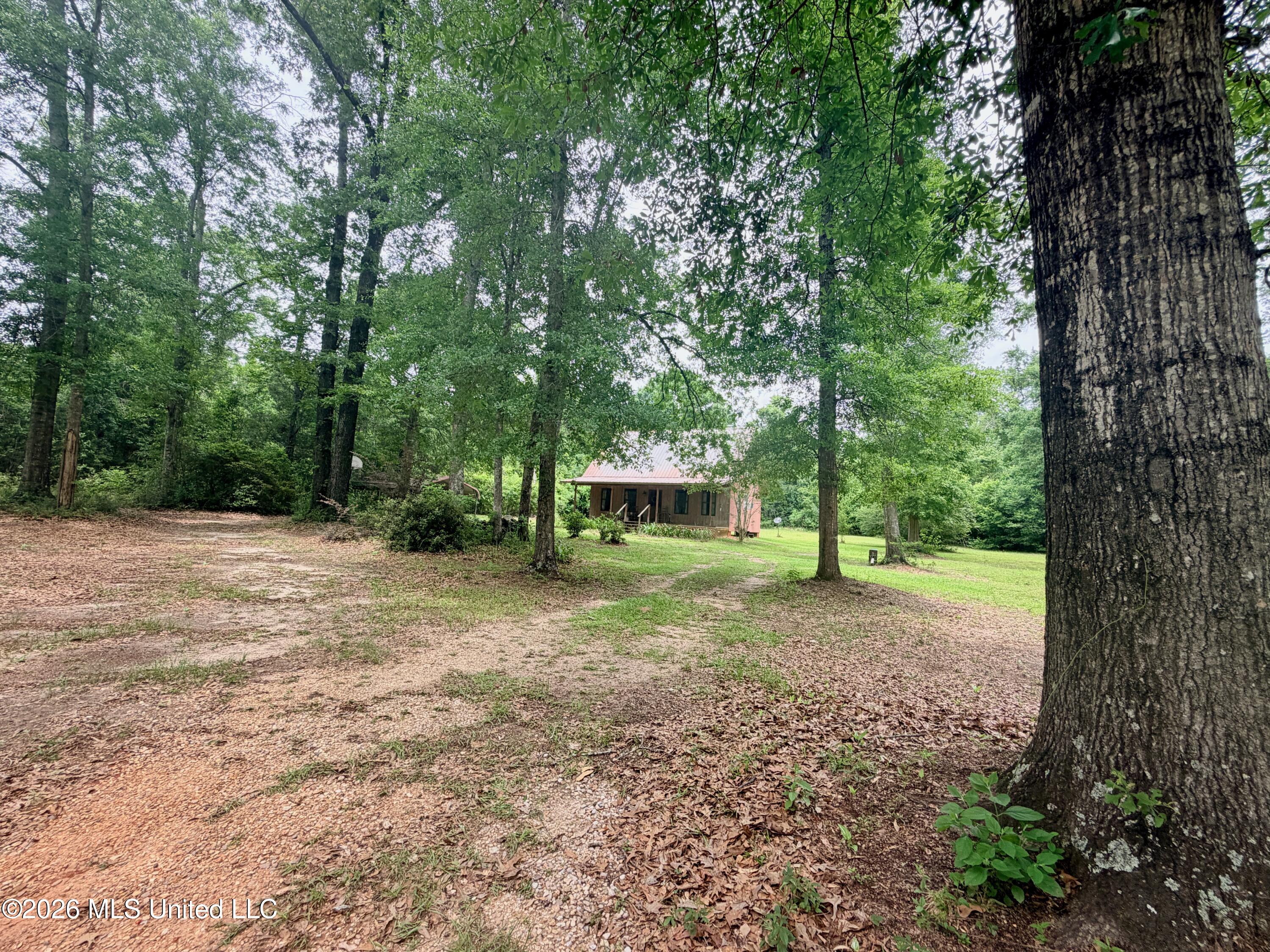181 Geiger Road Lucedale, MS 39452 - Photo 30 of 32 IMG_9501