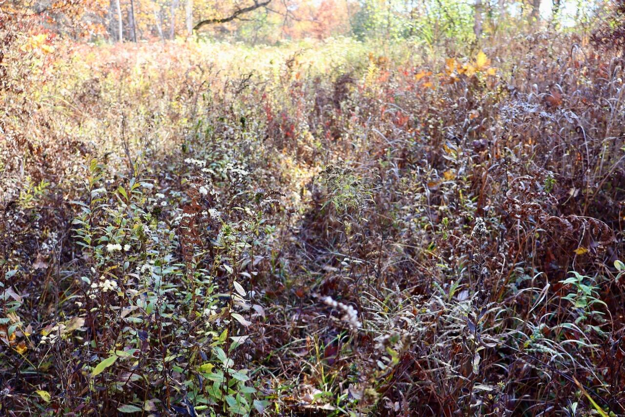 West Beamish Road Sanford, MI 48657 - Photo 25 of 27