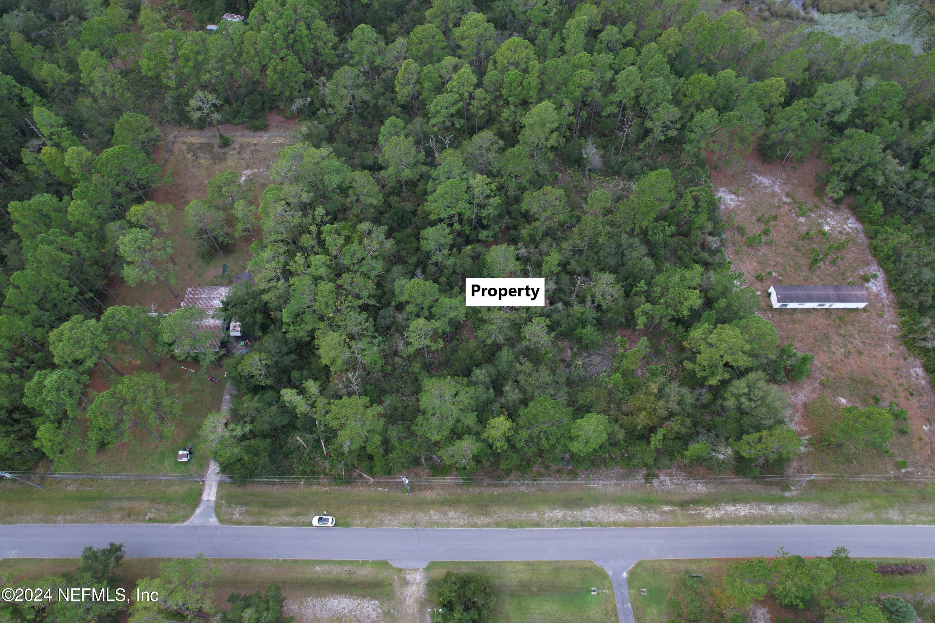 119 Whispering Pines Road Georgetown, FL 32139 - Photo 2 of 12 2