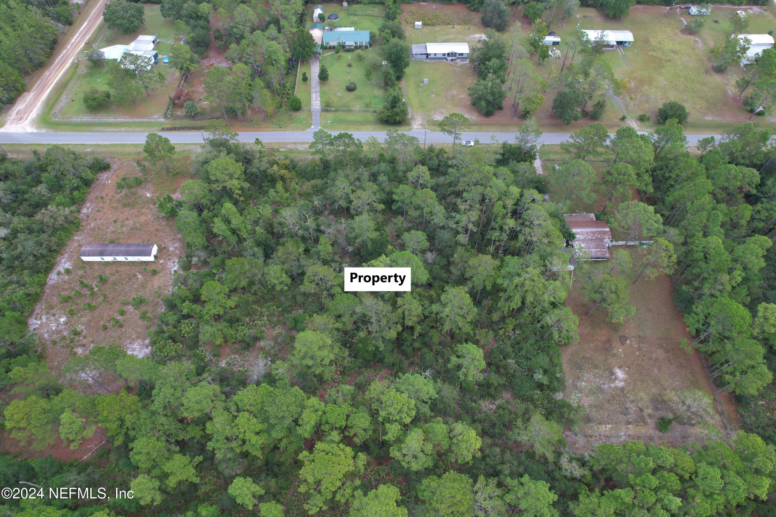 119 Whispering Pines Road Georgetown, FL 32139 - Photo 3 of 12 3