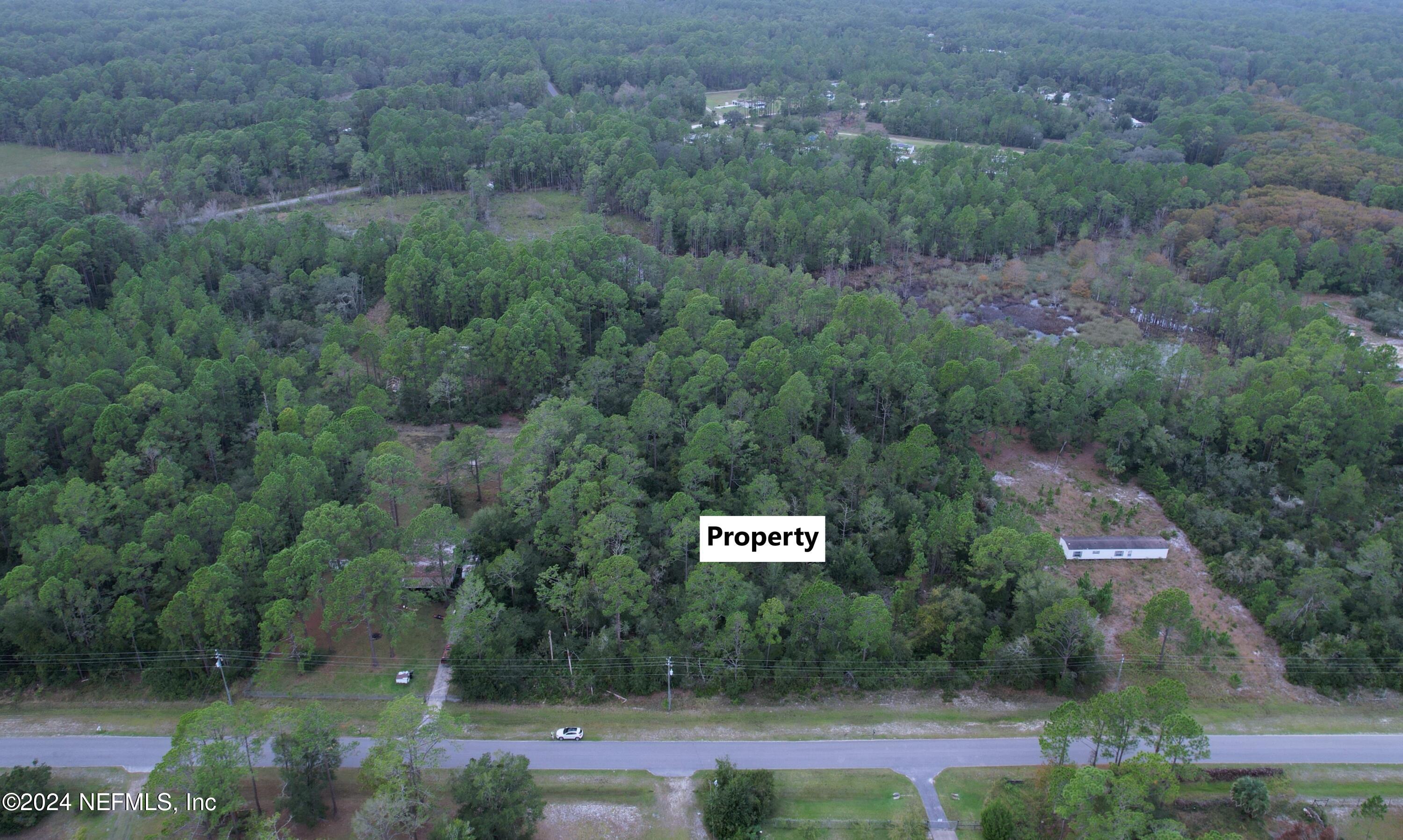 119 Whispering Pines Road Georgetown, FL 32139 - Photo 4 of 12 4