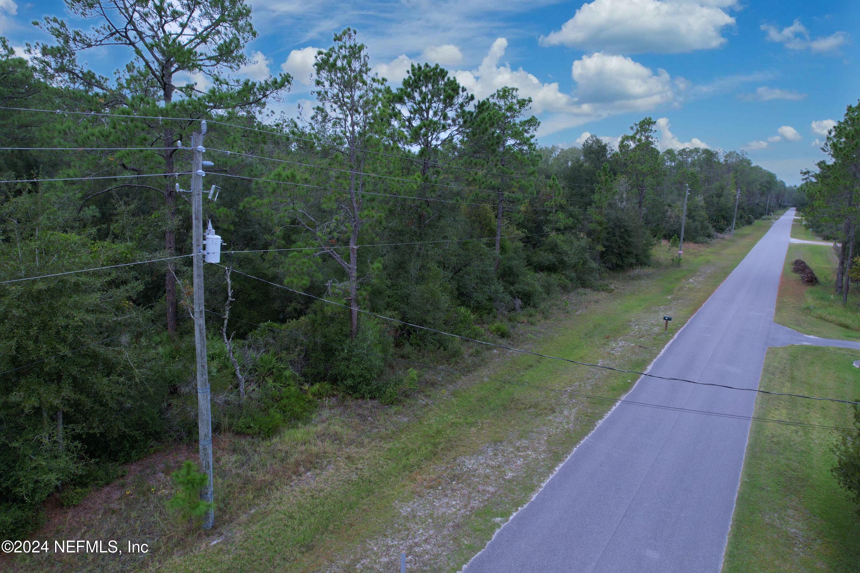 119 Whispering Pines Road Georgetown, FL 32139 - Photo 6 of 12 6