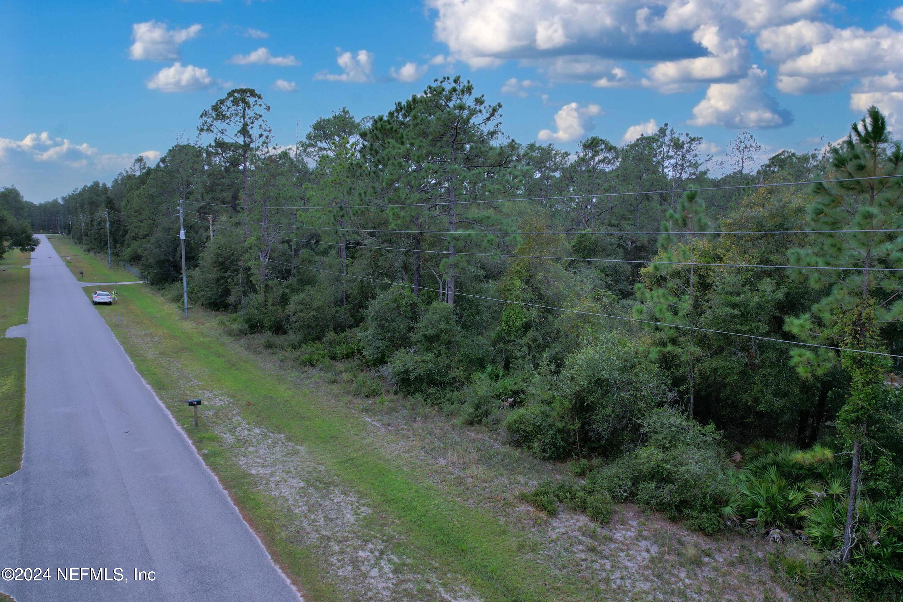 119 Whispering Pines Road Georgetown, FL 32139 - Photo 7 of 12 7